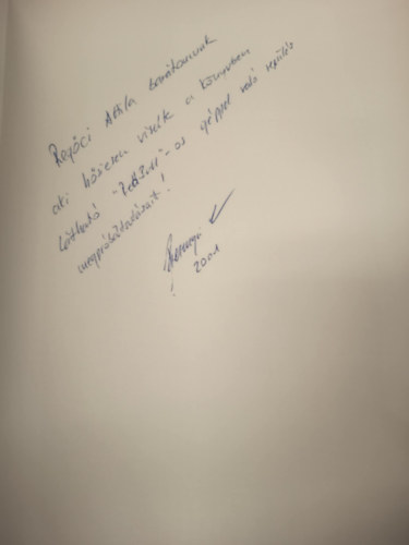 Besenyei P�ter - �gvil�gom