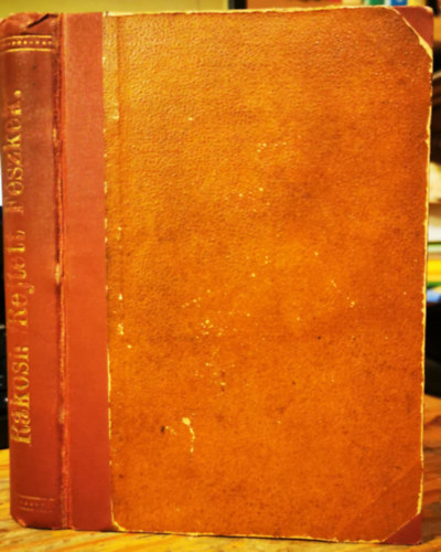 R�kosi Viktor - Rejtett f�szkek