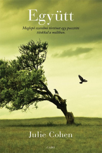 Julie Cohen - Egy�tt
