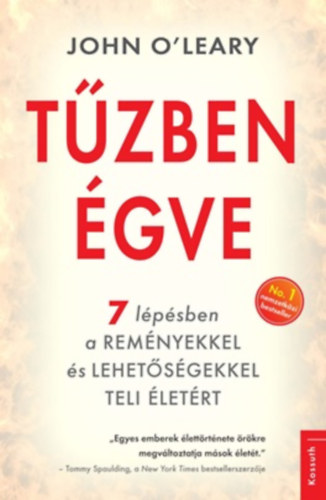 John O'Leary - T�zben �gve