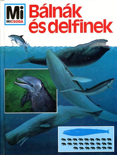 Petra Deimer - Blnk s delfinek