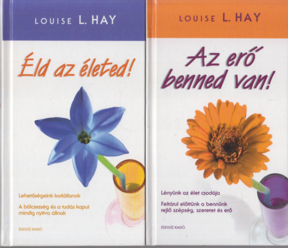 Louise L. Hay - 2 db Louise L. Hay m: ld az leted! + Az er benned van!