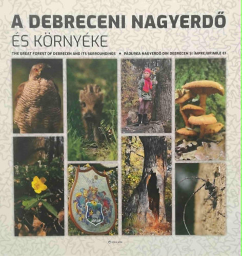 Molnár Antal Gyarmathy István - A debreceni nagyerdő és környéke