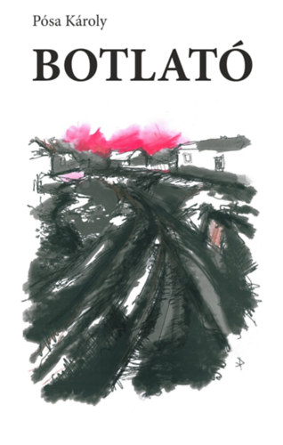 P�sa K�roly - Botlat�