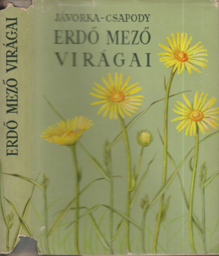 dr. Murak�zy Tam�s  J�vorka S�ndor-dr. Csapody Vera (szerk.) - Erd� mez� vir�gai (A magyar fl�ra sz�nes kis atlasza) - F�ggel�k. Szlov�kia, els�sorban a Magas T�tra legfelt�n�bb vir�gai  negyedik, b�v�tett kiad�s