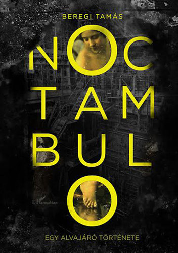 Beregi Tams - Noctambulo