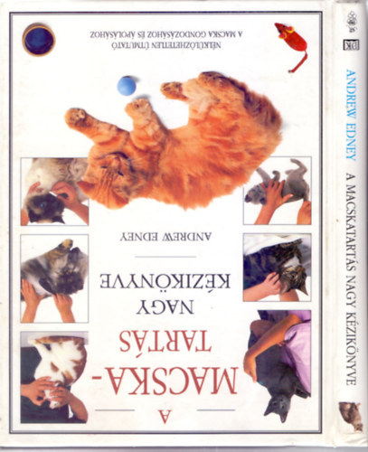 Fordtotta: S. Kovcs Judit Andrew Edney - A macskatarts nagy kziknyve - Nlklzhetetlen tmutat a macska gondozshoz s polshoz