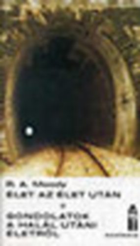 Raymond A. Moody - Élet az élet után - Gondolatok a halál utáni életről