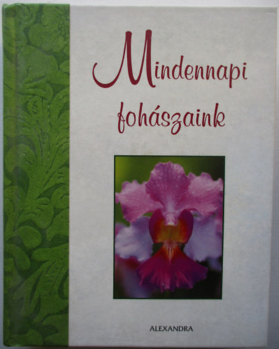 Mindennapi fohszaink