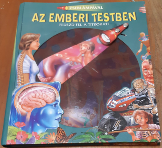 Zseblmpval - Az emberi testben