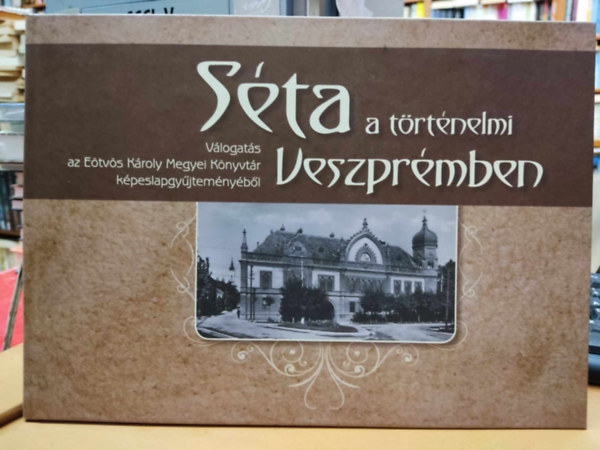 Szab�n� V�r�s Gy�rgyi Faa Judit - S�ta a t�rt�nelmi Veszpr�mben