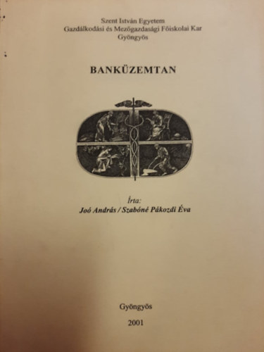 Szabn Pkozdi va Jo Andrs - Bankzemtan