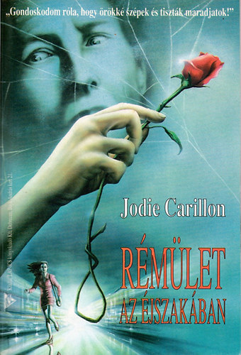 Jodie Carillon - Rémület az éjszakában