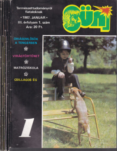 Sni magazin 1987/1-12. (hiny: 11.szm)- 9 db. lapszm