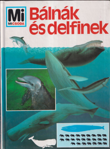 Mi micsoda Bálnák és delfinek