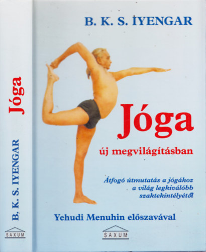 B. K. S. Iyengar - Jga j megvilgtsban