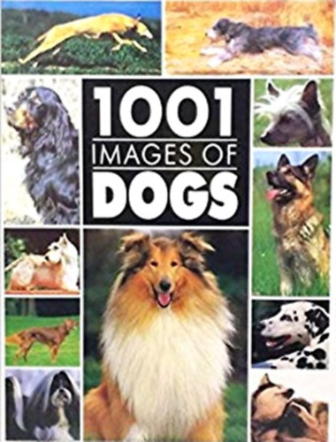 1001 images of dogs