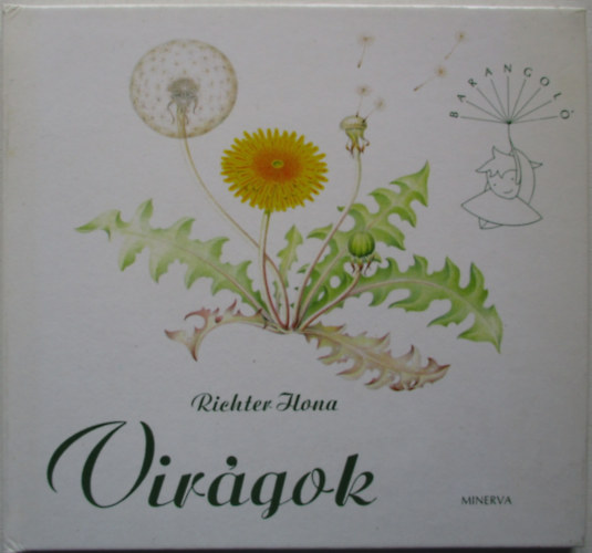 Richter Ilona - Virgok