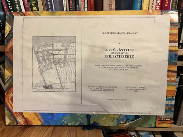 Dr. Tak�ts Tam�s - El�zetes hat�stanulm�ny a Fert� v�zitelep (Fert�r�kos) fejleszt�s�hez