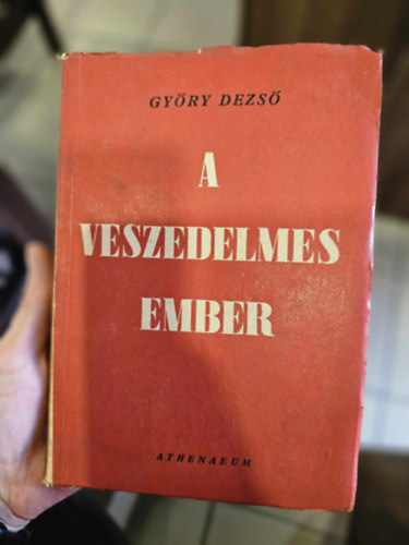 Győry Dezső - A veszedelmes ember