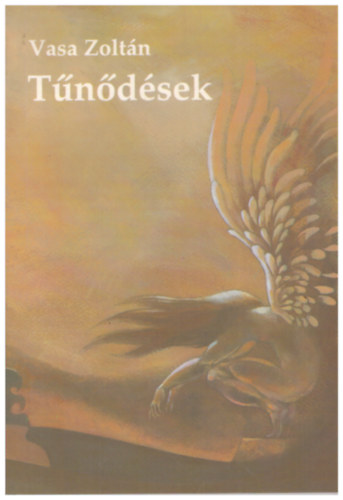 Vasa Zoltán - Tűnődések