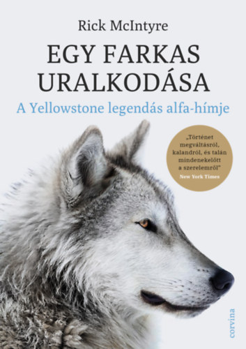 Rick McIntyre - Egy farkas uralkodása