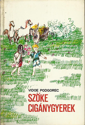 Vidoe Podgorec - Sz�ke cig�nygyerek