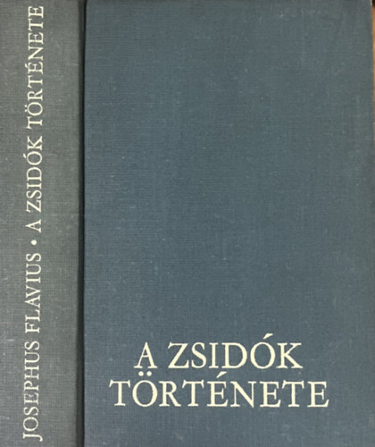 Josephus Flavius - A zsidk trtnete