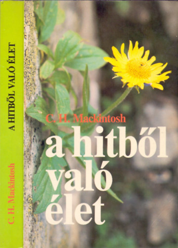 A hitbl val let Dvid kirly letben s korban