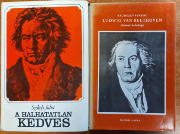 Szkely Jlia Brodszky Ferenc - 2db Zenei letrajz:A halhatatlan kedves+Ludwig Van Beethoven