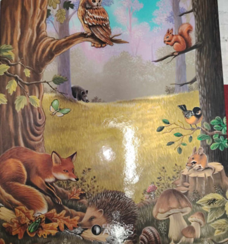 Erdei kaland krtyagyjt