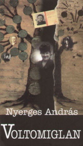 Nyerges Andrs - Voltomiglan