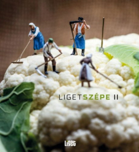 Ligetszpe 2