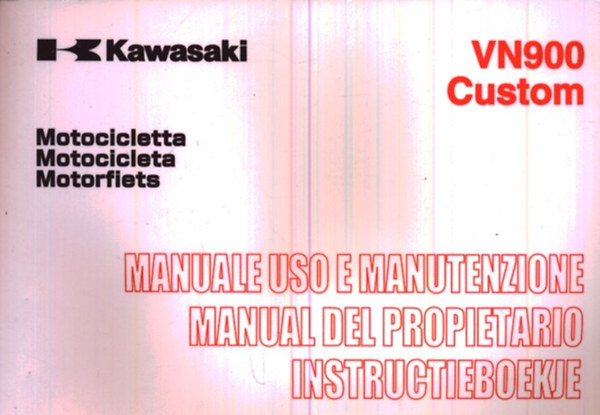 Kawasaki VN900 motorcycle custom