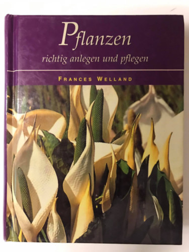 Pflanzen richtig anlegen und pflegen