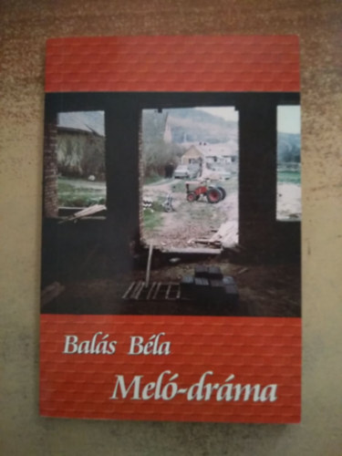 Balás Béla - Meló-dráma (Bajóti építkezési napló) - Érintések (2db)