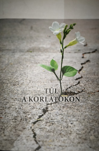 Kopcsándiné Zsuzsa (szerk.) - Kopcsándiné Zsuzsa (szerk.) - Túl a korlátokon