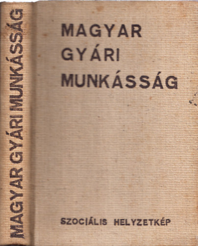 Rzler Gyula  (szerk.) - Magyar gyri munkssg - Szocilis helyzetkp