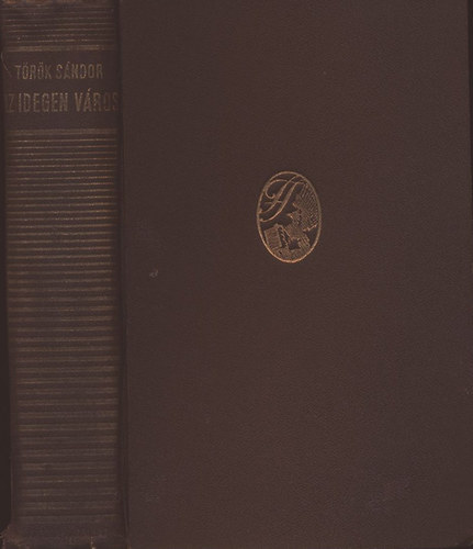 Trk Sndor - Az idegen vros