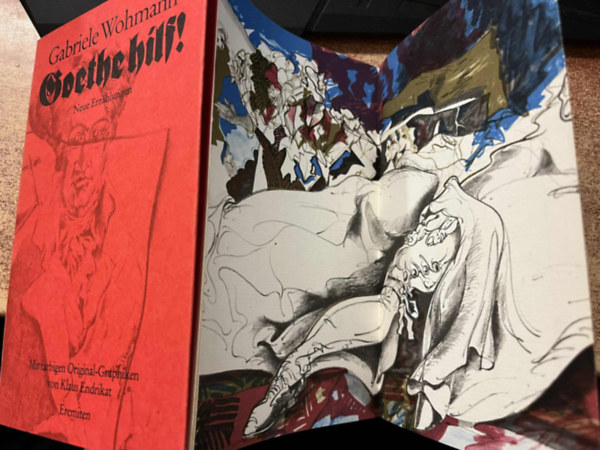 Gabriele Wohmann - Goethe hilf!