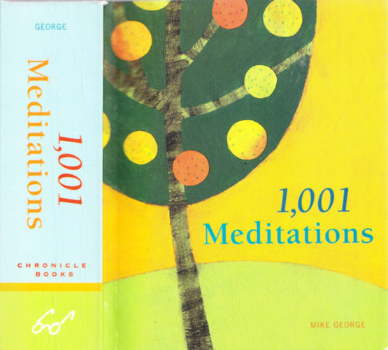 Mike George - 1,001 Meditations