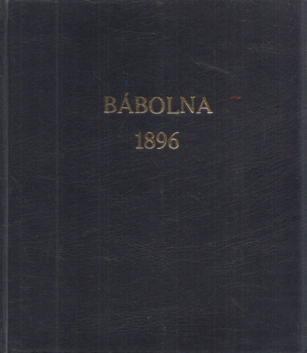 A bbolnai m. kir. llami mnes intzet lersa 1896. vben (reprint)