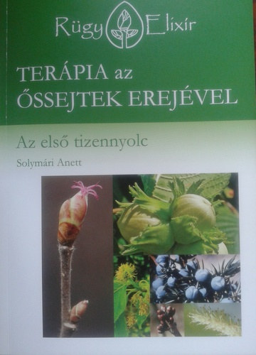 Solymári Anett - Terápia az őssejtek erejével