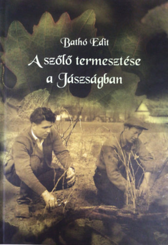 Bath� Edit - A sz�l� termeszt�se a J�szs�gban