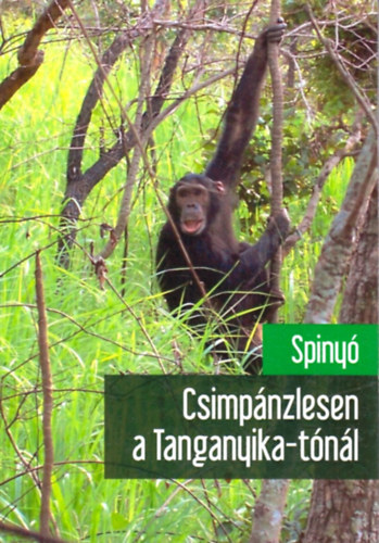 Spindler Zsolt (Spinyó) - Csimpánzlesen a Tanganyika-tónál
