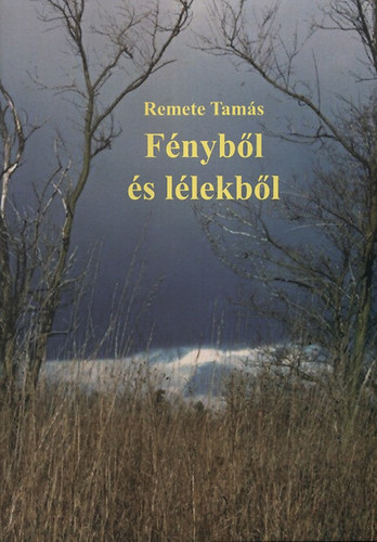 Remete Tams - Fnybl s llekbl