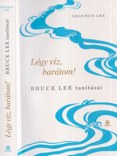 Shannon Lee - Légy víz, barátom!