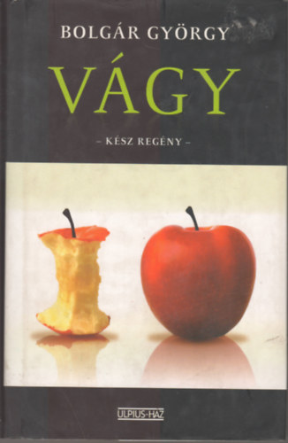 Bolgár György - Vágy - Kész regény