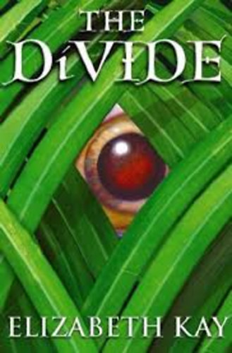 Elizabeth Kay - The Divide