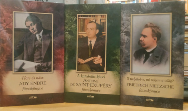 Friedrich Nietzsche, Antoine de Saint-Exupéry Ady Endre - 3 db A katedrális kövei: Antoine De Saint-Exupéry füveskönyve + Harc és nász Ady Endre füveskönyve + S tudjátok-e, mi nekem a világ? Friedrich Nietzsche füveskönyve